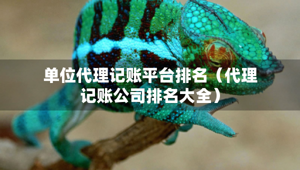 單位代理記賬平臺排名（代理記賬公司排名大全）