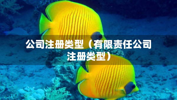 公司注冊類型（有限責(zé)任公司注冊類型）