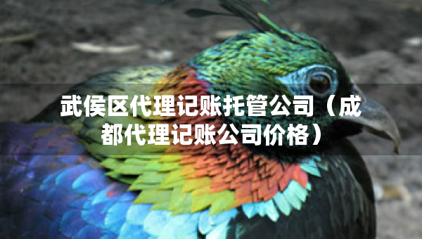 武侯區(qū)代理記賬托管公司（成都代理記賬公司價格）