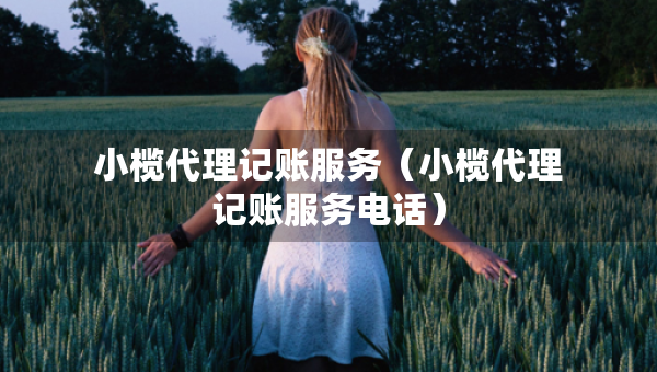 小欖代理記賬服務(wù)（小欖代理記賬服務(wù)電話(huà)）