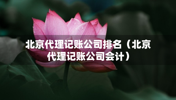 北京代理記賬公司排名（北京代理記賬公司會計）