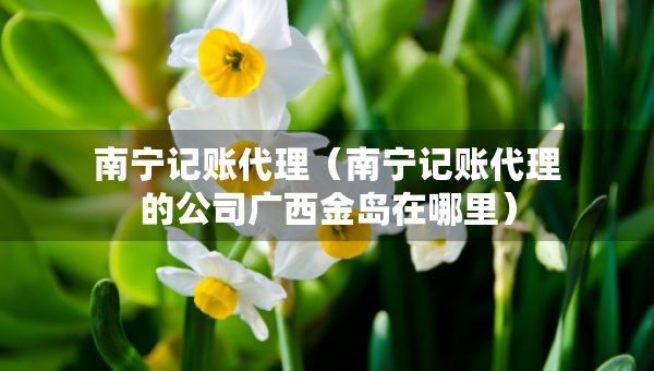 南寧記賬代理（南寧記賬代理的公司廣西金島在哪里）