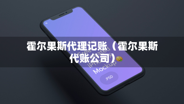霍爾果斯代理記賬（霍爾果斯代賬公司）