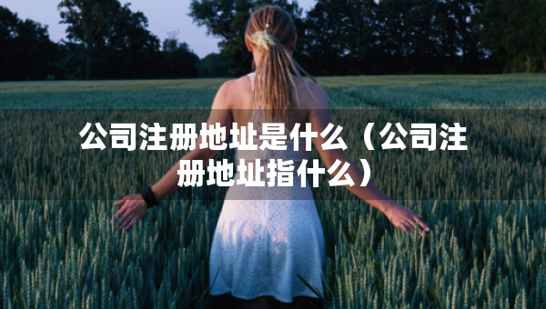 公司注冊(cè)地址是什么（公司注冊(cè)地址指什么）