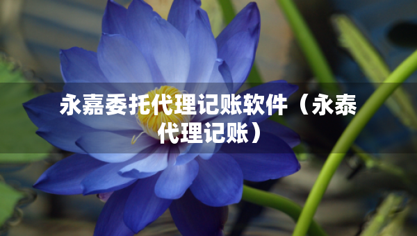 永嘉委托代理記賬軟件（永泰代理記賬）