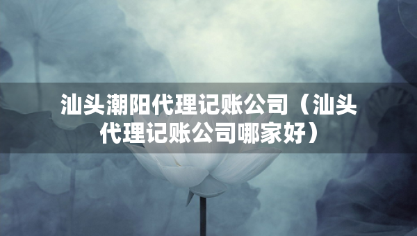 汕頭潮陽代理記賬公司（汕頭代理記賬公司哪家好）