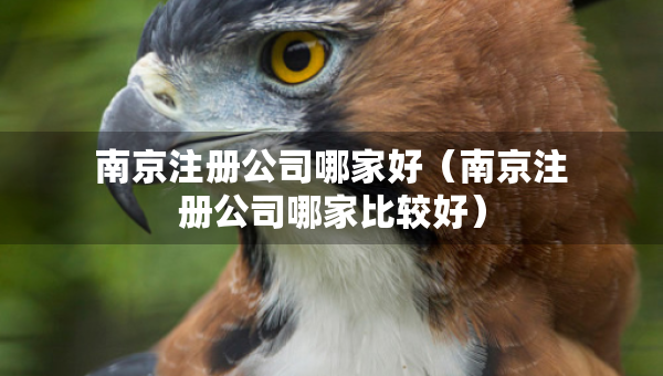 南京注冊公司哪家好（南京注冊公司哪家比較好）