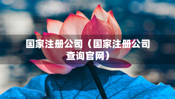 國家注冊公司（國家注冊公司查詢官網）