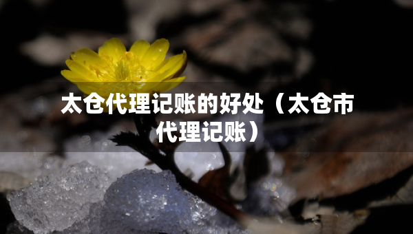 太倉代理記賬的好處（太倉市代理記賬）