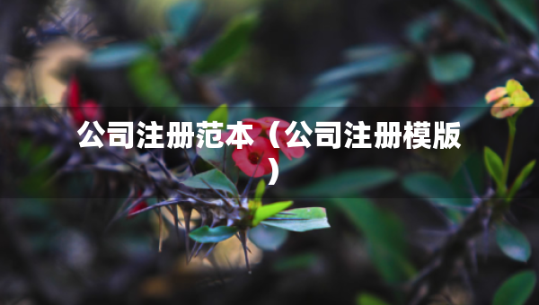 公司注冊范本（公司注冊模版）