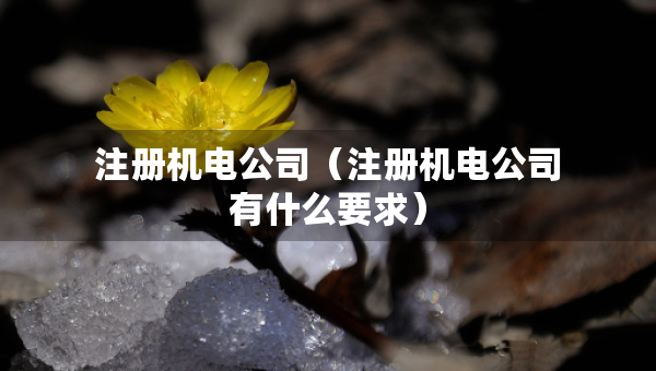 注冊(cè)機(jī)電公司（注冊(cè)機(jī)電公司有什么要求）