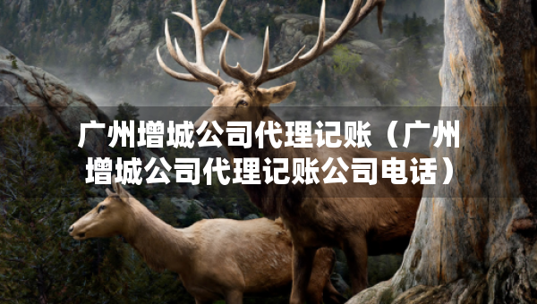 廣州增城公司代理記賬（廣州增城公司代理記賬公司電話）