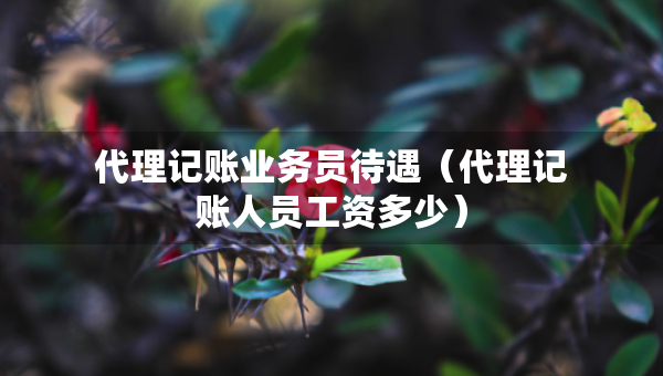 代理記賬業(yè)務員待遇（代理記賬人員工資多少）