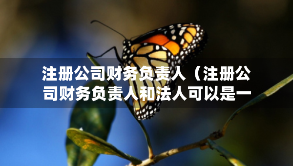 注冊公司財(cái)務(wù)負(fù)責(zé)人（注冊公司財(cái)務(wù)負(fù)責(zé)人和法人可以是一個人嗎）