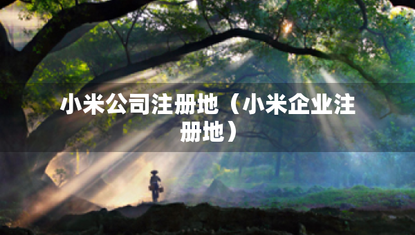 小米公司注冊地（小米企業(yè)注冊地）