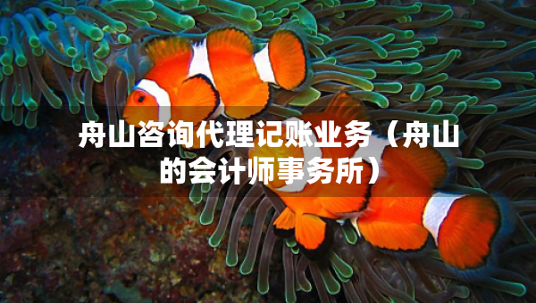 舟山咨詢代理記賬業(yè)務（舟山的會計師事務所）