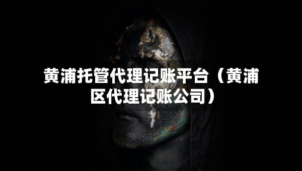 黃浦托管代理記賬平臺（黃浦區(qū)代理記賬公司）