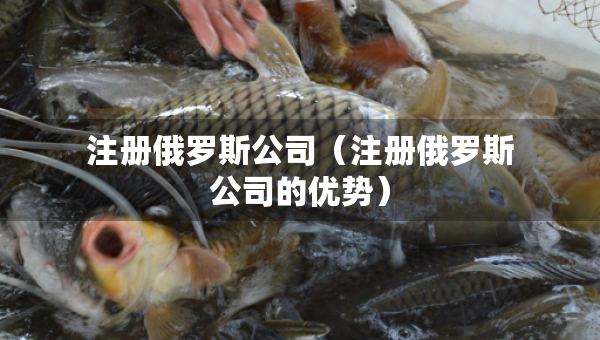 注冊俄羅斯公司（注冊俄羅斯公司的優(yōu)勢）