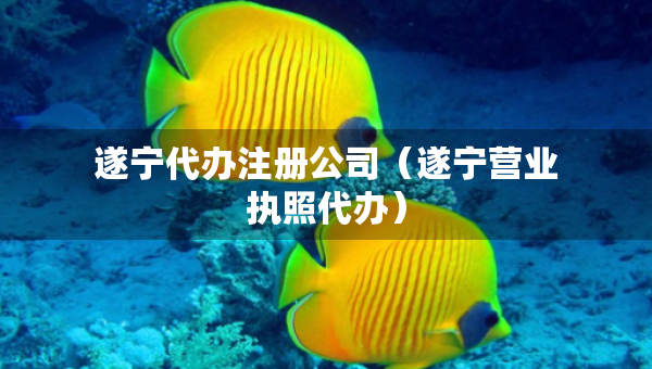 遂寧代辦注冊(cè)公司（遂寧營(yíng)業(yè)執(zhí)照代辦）