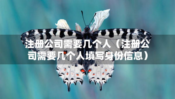 注冊公司需要幾個人（注冊公司需要幾個人填寫身份信息）