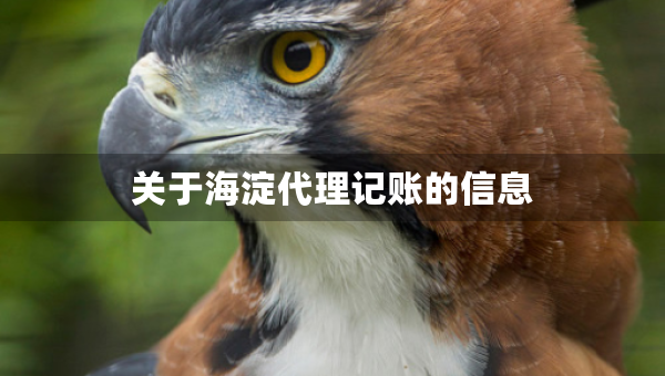 關(guān)于海淀代理記賬的信息