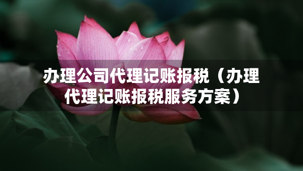 辦理公司代理記賬報稅（辦理代理記賬報稅服務(wù)方案）