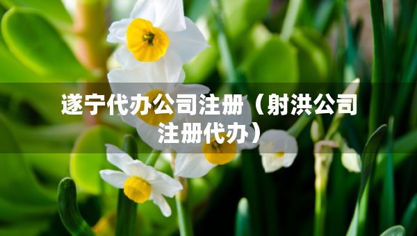 遂寧代辦公司注冊(cè)（射洪公司注冊(cè)代辦）