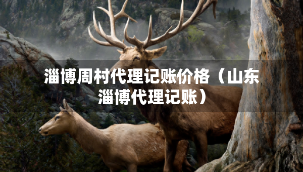 淄博周村代理記賬價格（山東淄博代理記賬）