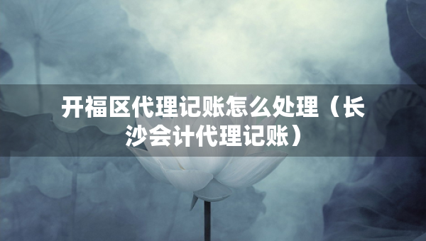 開福區(qū)代理記賬怎么處理（長沙會(huì)計(jì)代理記賬）