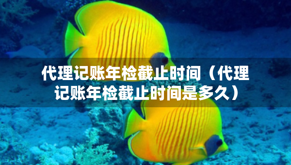 代理記賬年檢截止時(shí)間（代理記賬年檢截止時(shí)間是多久）