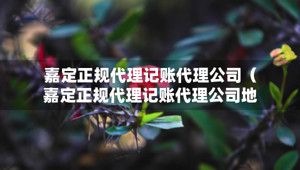 嘉定正規(guī)代理記賬代理公司（嘉定正規(guī)代理記賬代理公司地址）