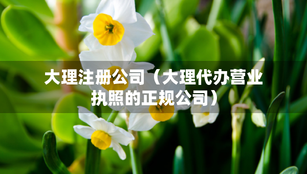 大理注冊公司（大理代辦營業(yè)執(zhí)照的正規(guī)公司）