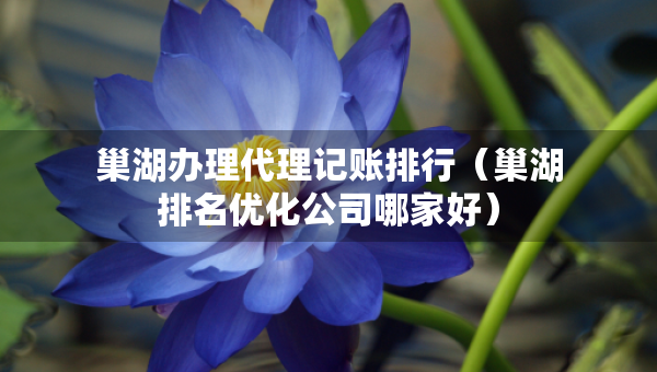 巢湖辦理代理記賬排行（巢湖排名優(yōu)化公司哪家好）