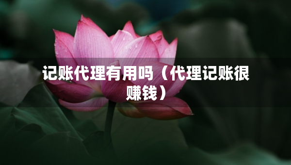 記賬代理有用嗎（代理記賬很賺錢）