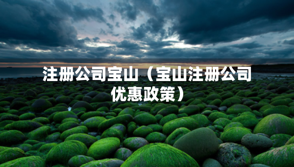 注冊(cè)公司寶山（寶山注冊(cè)公司優(yōu)惠政策）
