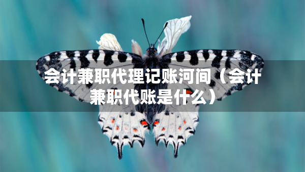 會計兼職代理記賬河間（會計兼職代賬是什么）