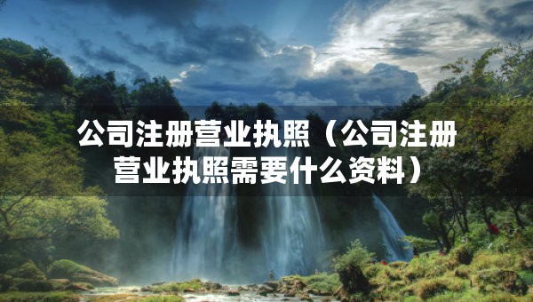 公司注冊營業(yè)執(zhí)照（公司注冊營業(yè)執(zhí)照需要什么資料）