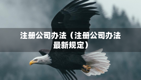 注冊公司辦法（注冊公司辦法最新規(guī)定）