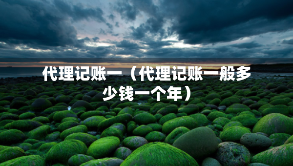代理記賬一（代理記賬一般多少錢一個年）