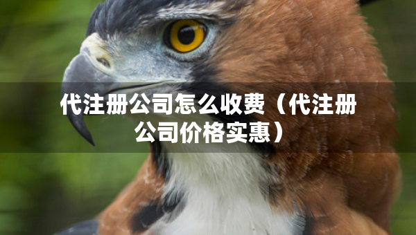 代注冊公司怎么收費（代注冊公司價格實惠）