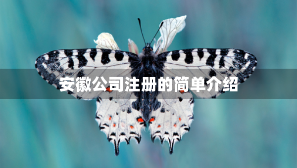 安徽公司注冊的簡單介紹