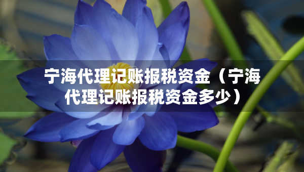 寧海代理記賬報(bào)稅資金（寧海代理記賬報(bào)稅資金多少）