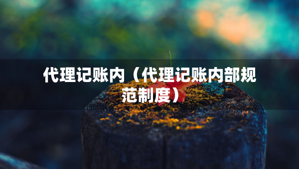 代理記賬內(nèi)（代理記賬內(nèi)部規(guī)范制度）