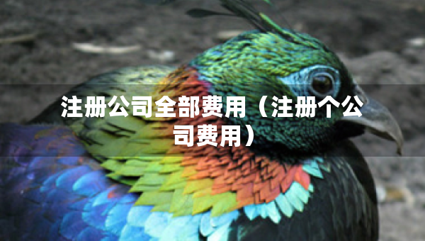 注冊公司全部費用（注冊個公司費用）