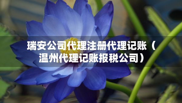 瑞安公司代理注冊代理記賬（溫州代理記賬報稅公司）