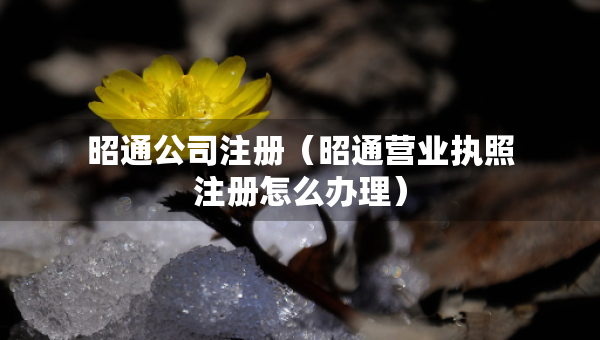 昭通公司注冊（昭通營業(yè)執(zhí)照注冊怎么辦理）