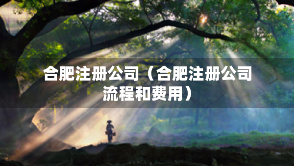 合肥注冊(cè)公司（合肥注冊(cè)公司流程和費(fèi)用）