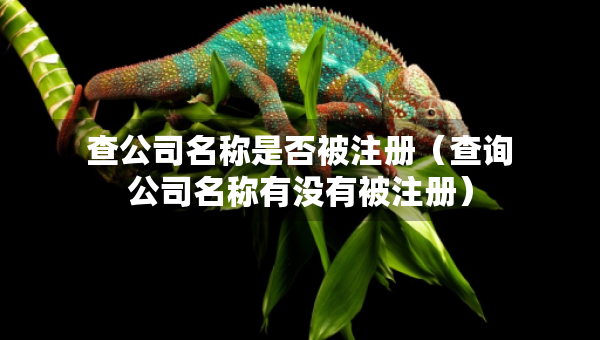 查公司名稱是否被注冊(cè)（查詢公司名稱有沒有被注冊(cè)）