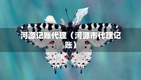 河源記賬代理（河源市代理記賬）