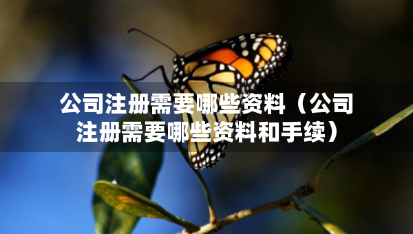 公司注冊(cè)需要哪些資料（公司注冊(cè)需要哪些資料和手續(xù)）